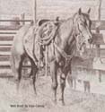 High Plains Ranchers & Breeders Association