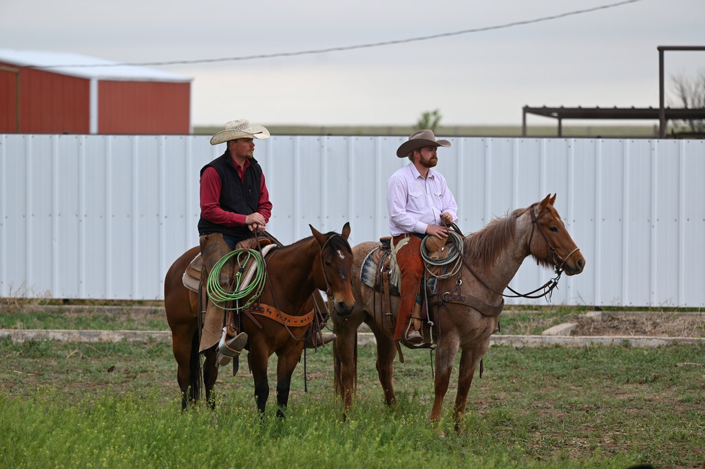 Preparing For Branding